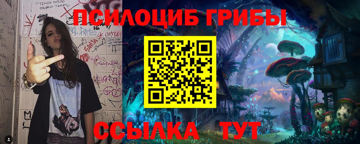 Мариинск  даркнет сайт  Вход с VPN  Галлюциногенные грибы мицелий 