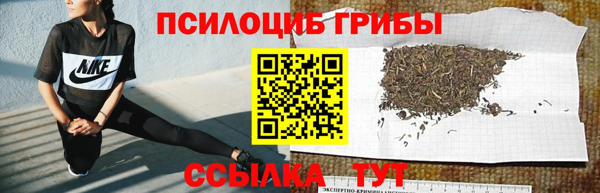 Галлюциногенные грибы мухоморы Мариинск